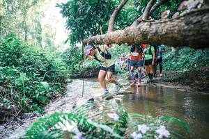 BIB: 
                            <button type="button" onclick="openModal(25464236)" class="btn btn-primary btn-sm float-right btn-popup" data-toggle="modal" data-target=".modal-high-quality">
                        <i class="fas fa-shopping-cart"></i> Add to Cart
                    </button>
                                            <button type="button" onclick="isThisMe(25464236, true)" class="btn btn-success btn-sm float-right btn-popup btn-isme hidden" data-toggle="tooltip" data-placement="bottom" title="นี่คือรูปของคุณใช่ไหม คลิกที่นี่เพื่อเอาเข้าอัลบั้ม">
                        <i class="fas fa-plus"></i> Add to album
                    </button>
                    <button type="button" onclick="isThisMe(25464236, false)" class="btn btn-warning btn-sm float-right btn-popup btn-isnotme hidden">
                        <i class="fas fa-ban"></i> Remove from album
                    </button>